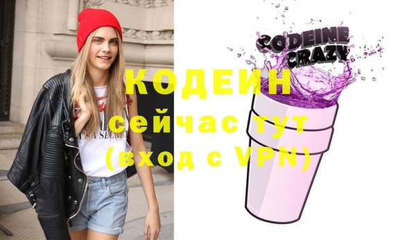 прущие грибы Абаза
