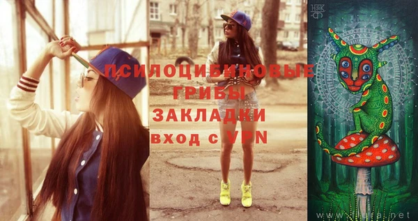 хмурый Лиски