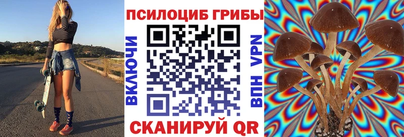 Псилоцибиновые грибы GOLDEN TEACHER как найти Якутск