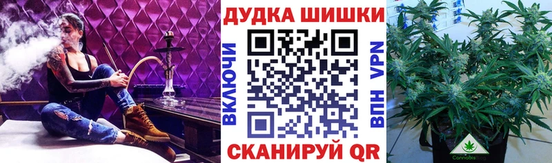 Бошки марихуана Amnesia  Якутск 